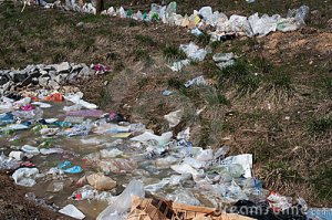 Plastic Bag Pollution